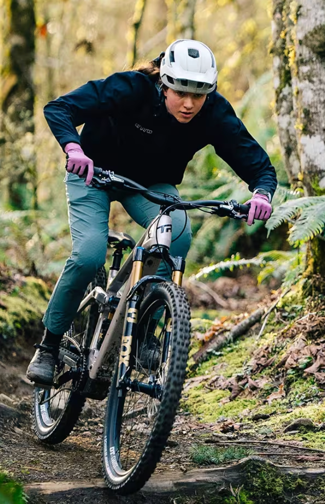 Electric Bikes & E-Bikes
